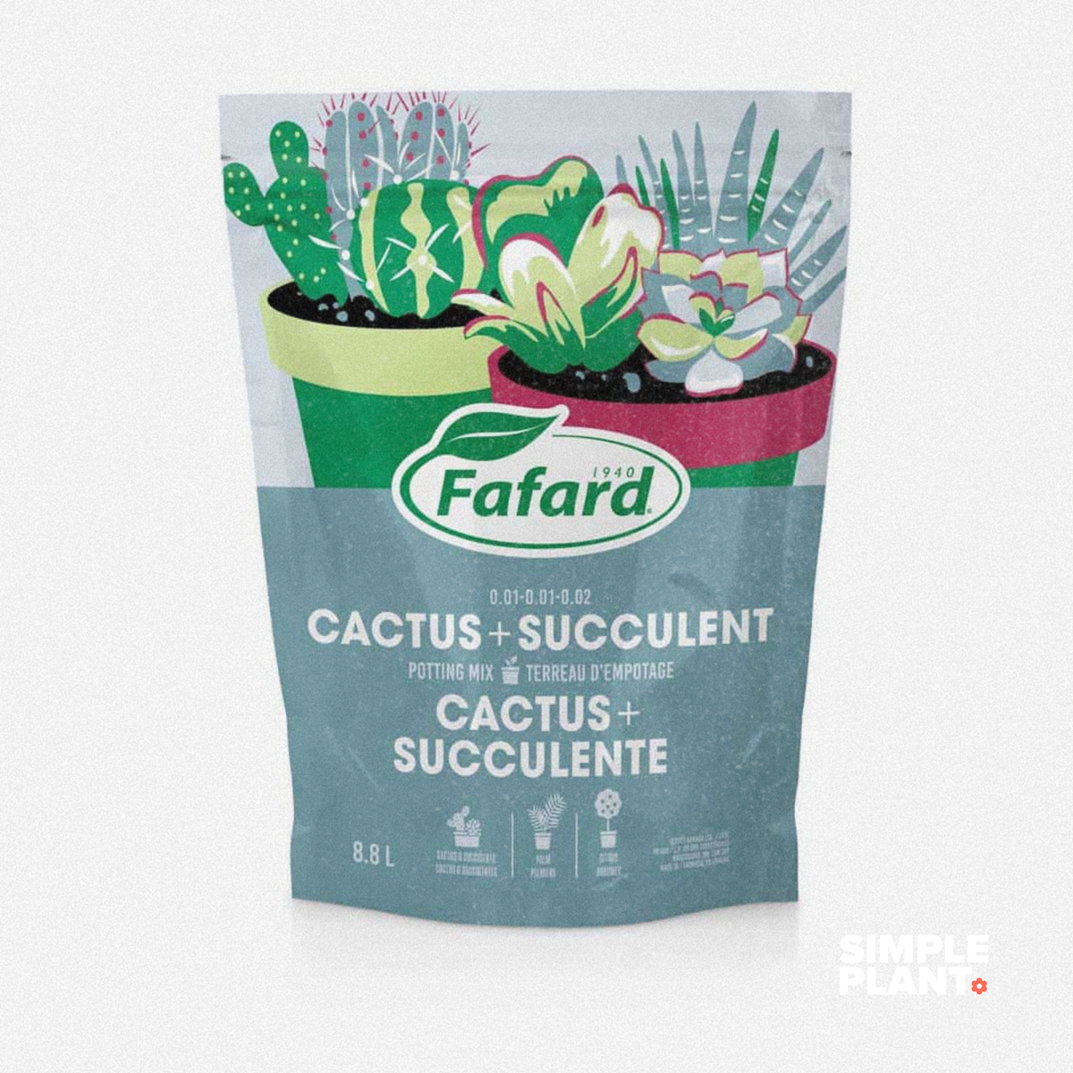 Terreau Cactus & Succulentes