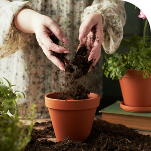 Nourrir & Planter