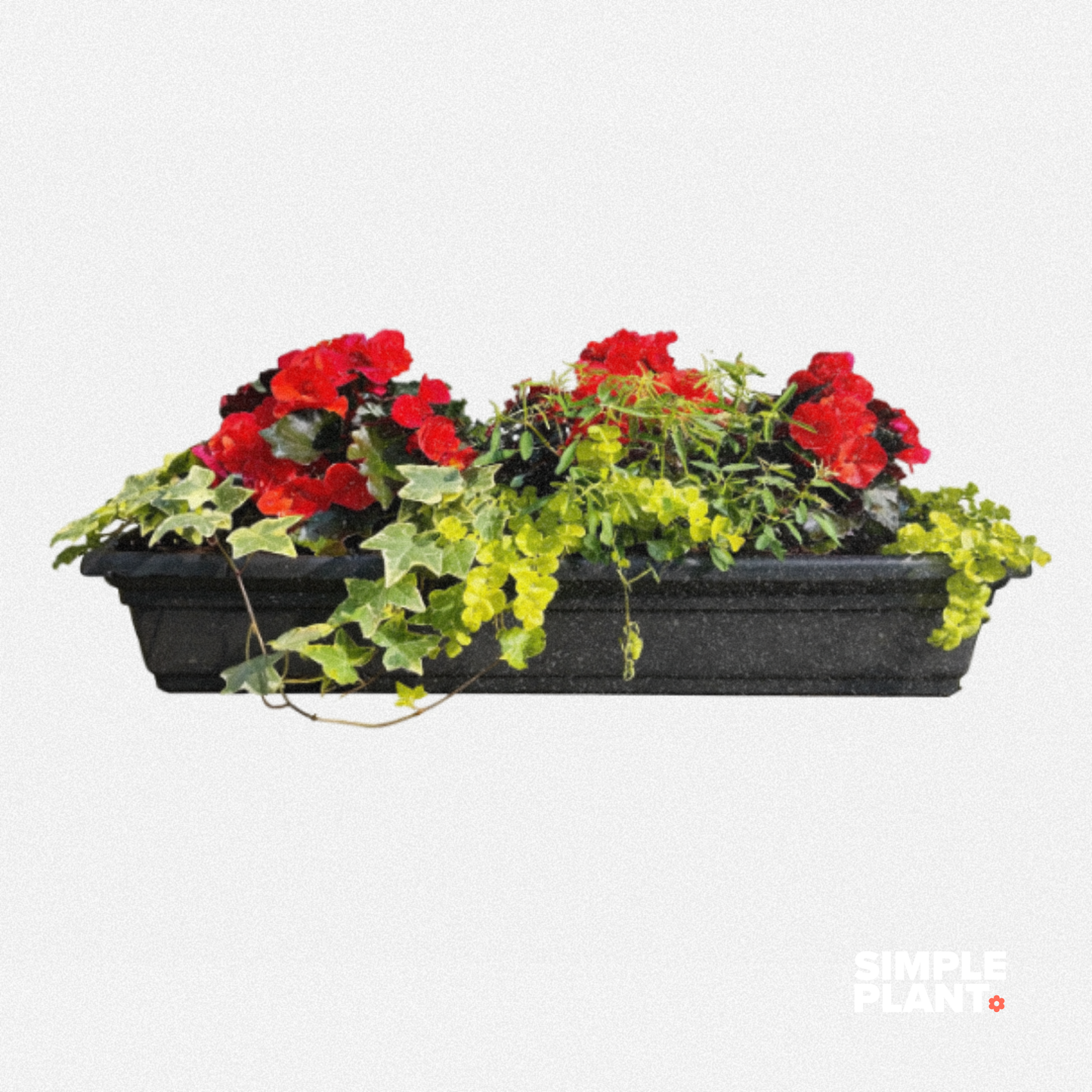 Balconnière fleurs - Ombre