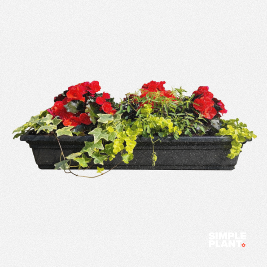 Balconnière fleurs - Ombre