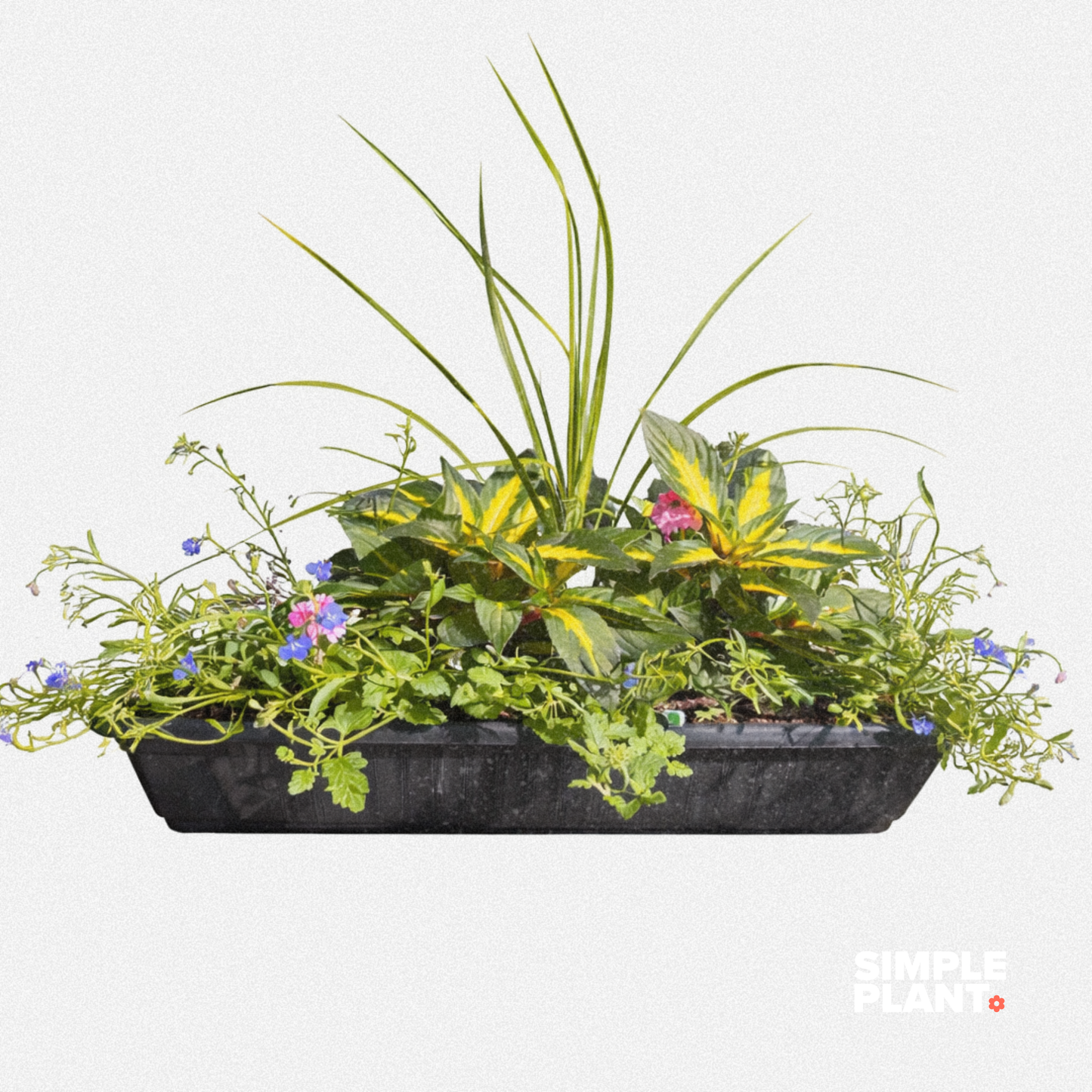 Balconnière fleurs - Soleil