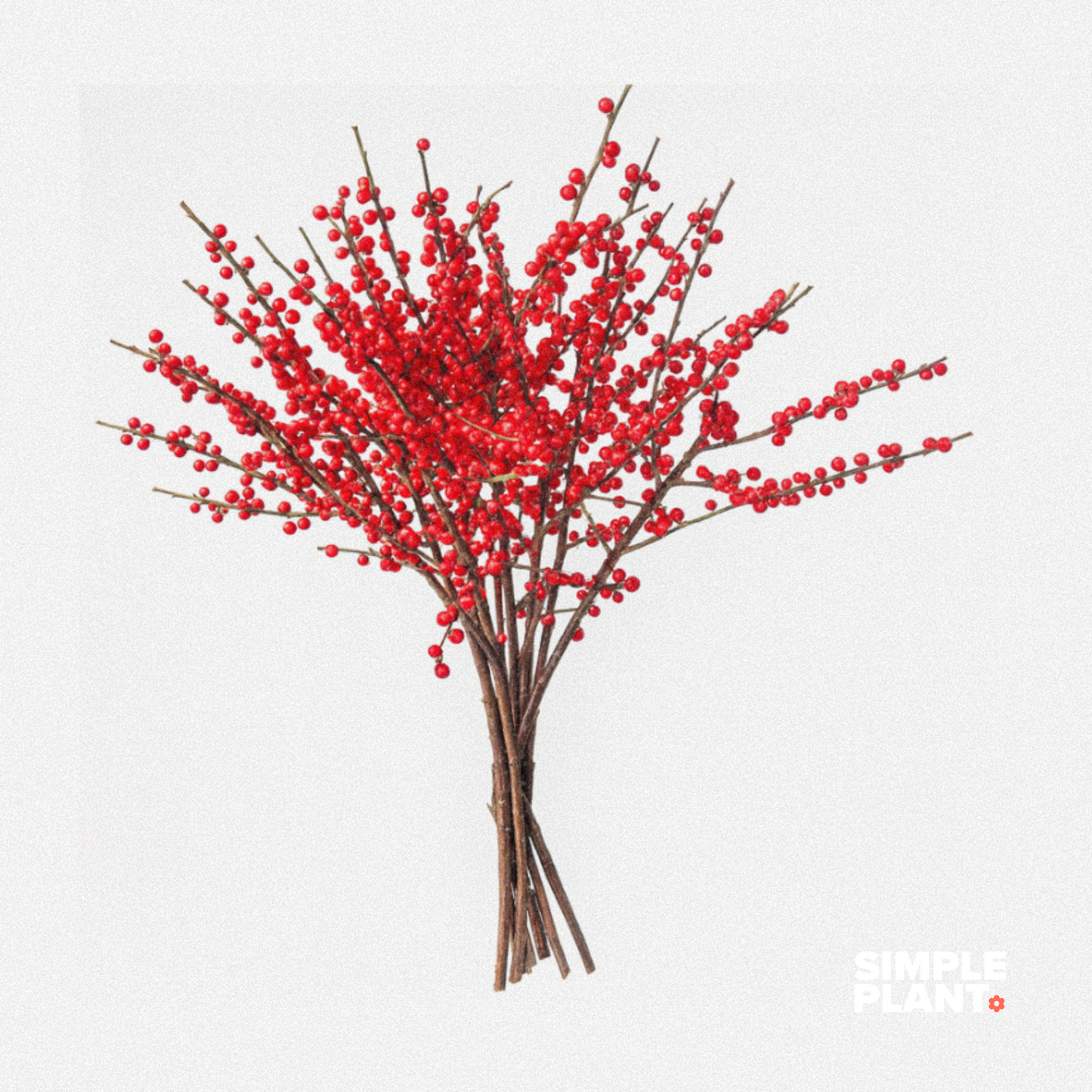 Bouquet d'Ilex