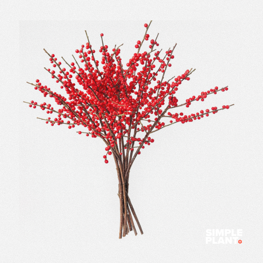Bouquet d'Ilex