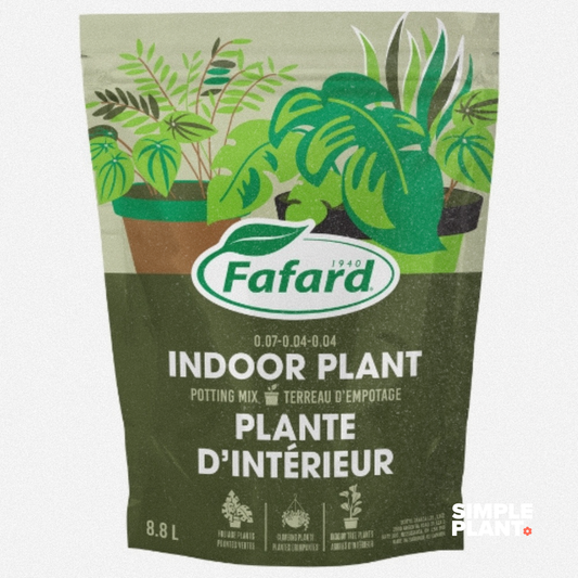 Terreau Plante d'intérieur