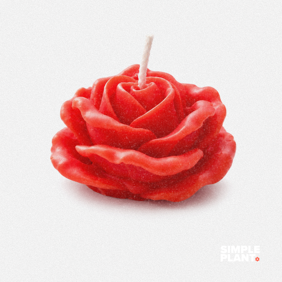 Bougie florale